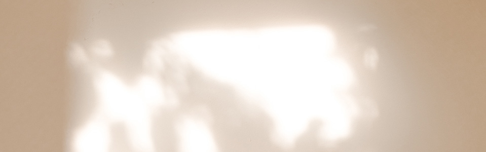 Sculptures d'animaux